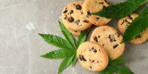 Lire la suite à propos de l’article 2 recettes de cookies au CBD : apprenez à les préparer facilement à la maison !