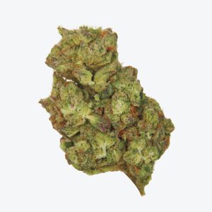 California – Big Bud