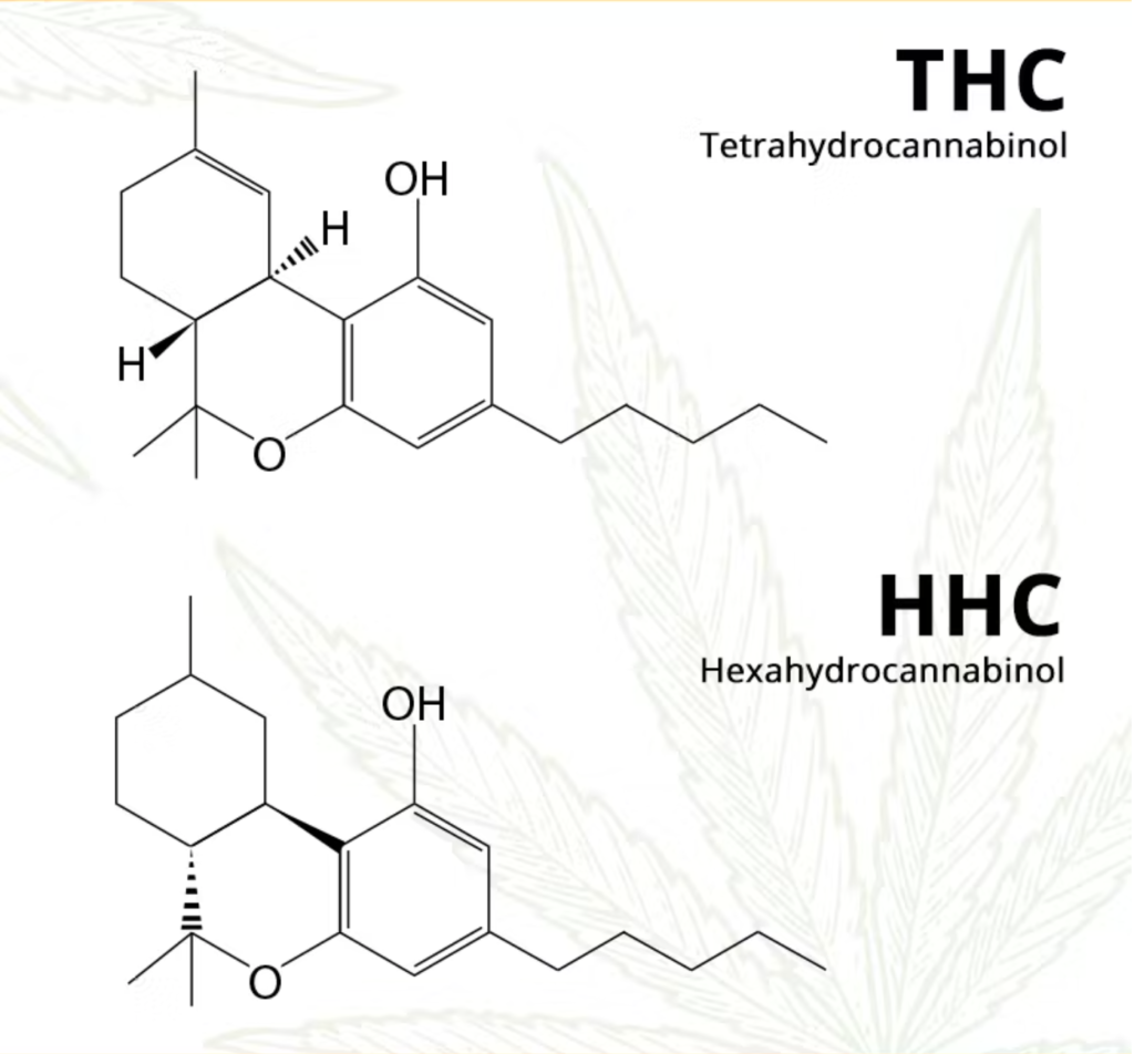 Qu’est-ce que le HHC ? Différence avec le THC.