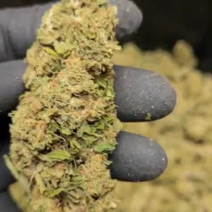 Orange Bud CBD – Big Bud